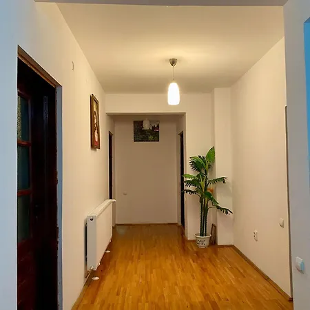 Guest house Casa Chindris *