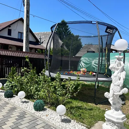Casa Chindris * Ocna Sugatag
